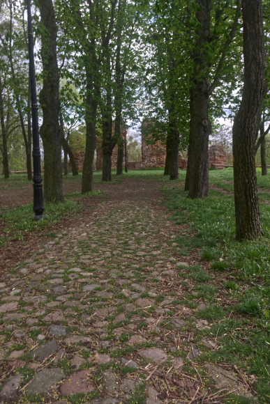 Road to the Castle